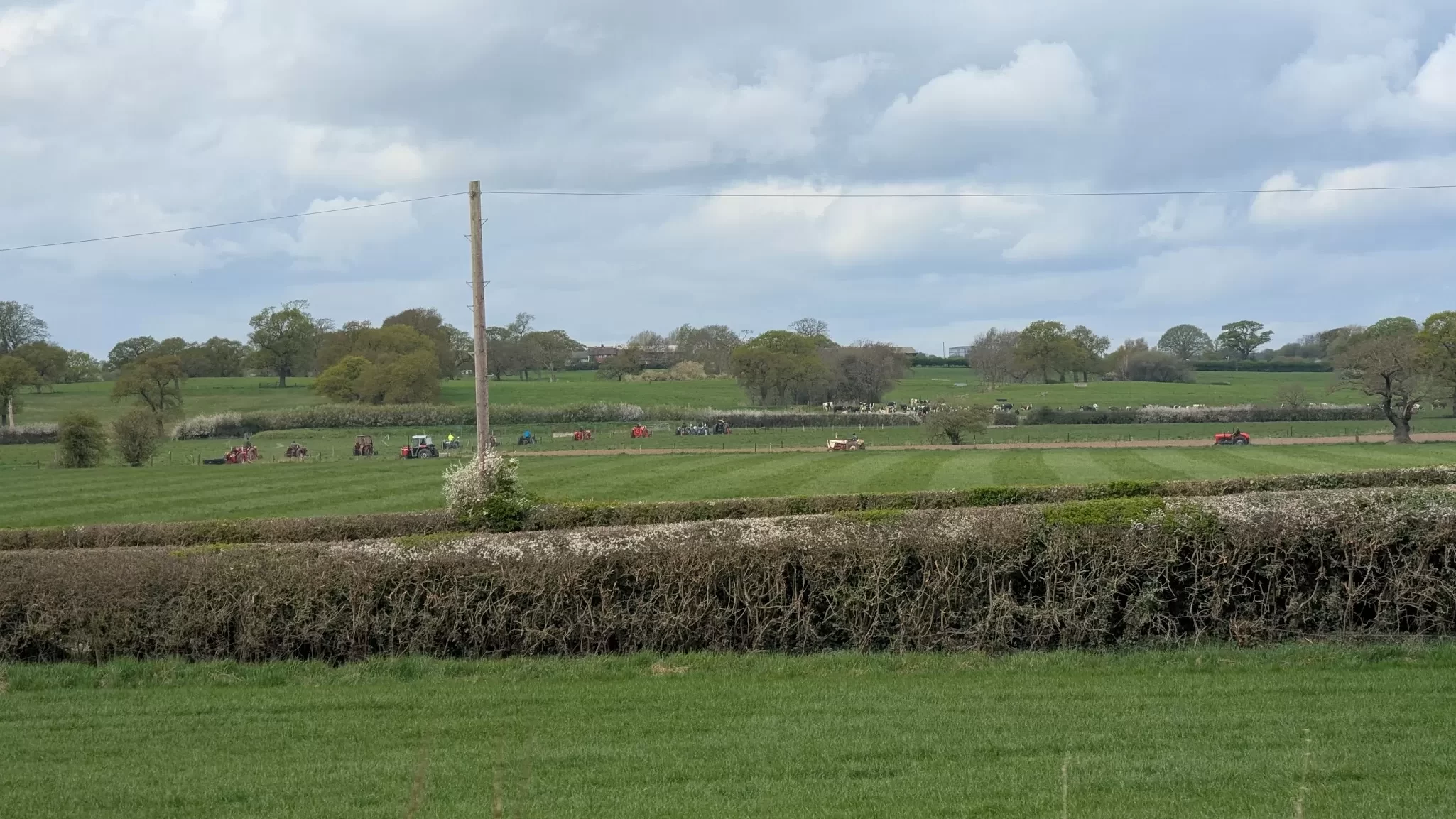 Lush green fields under a cloudy sky, with rolling hills in the background and a dirt road lined with hedges. A few animals, possibly cattle, are scattered in the distance. A wooden utility pole stands among the landscape.